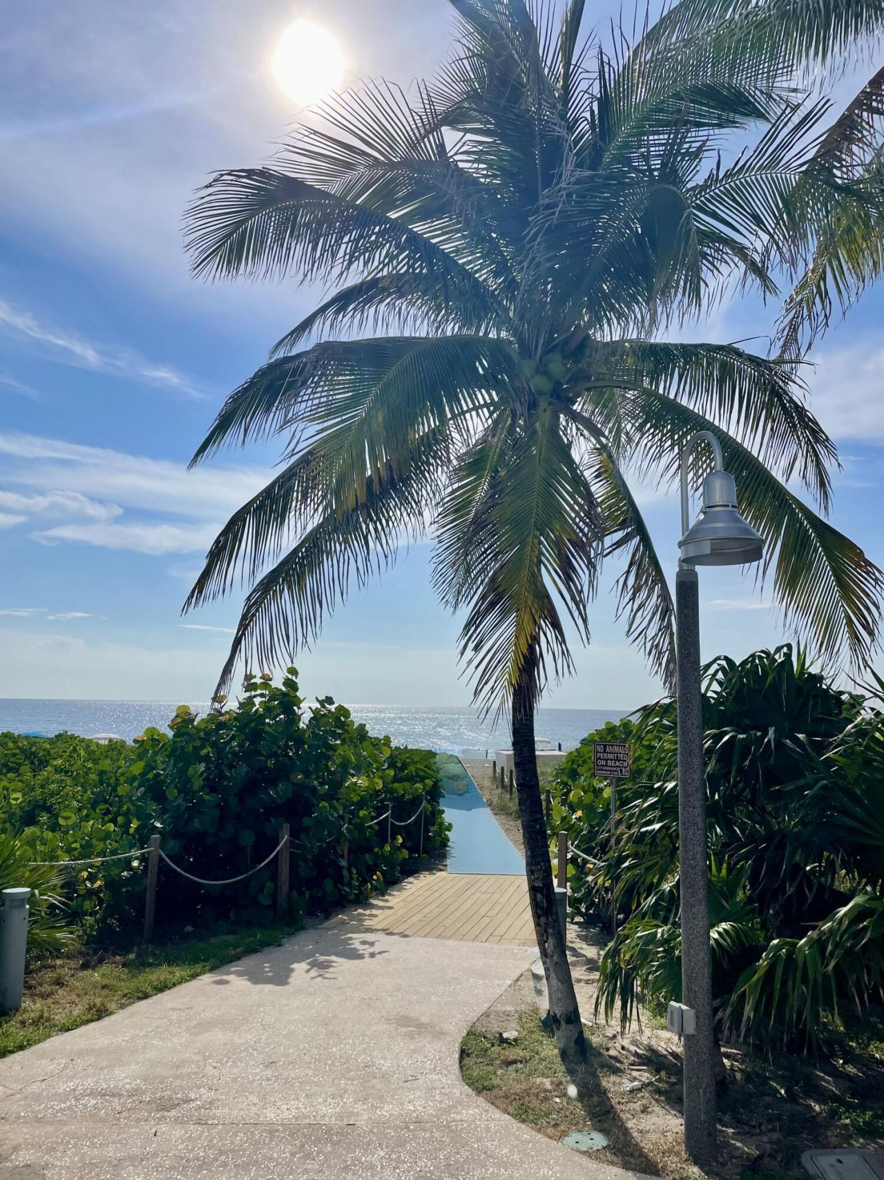 1165 E Atlantic Avenue, Unit A, Delray Beach, FL 33483 Photo