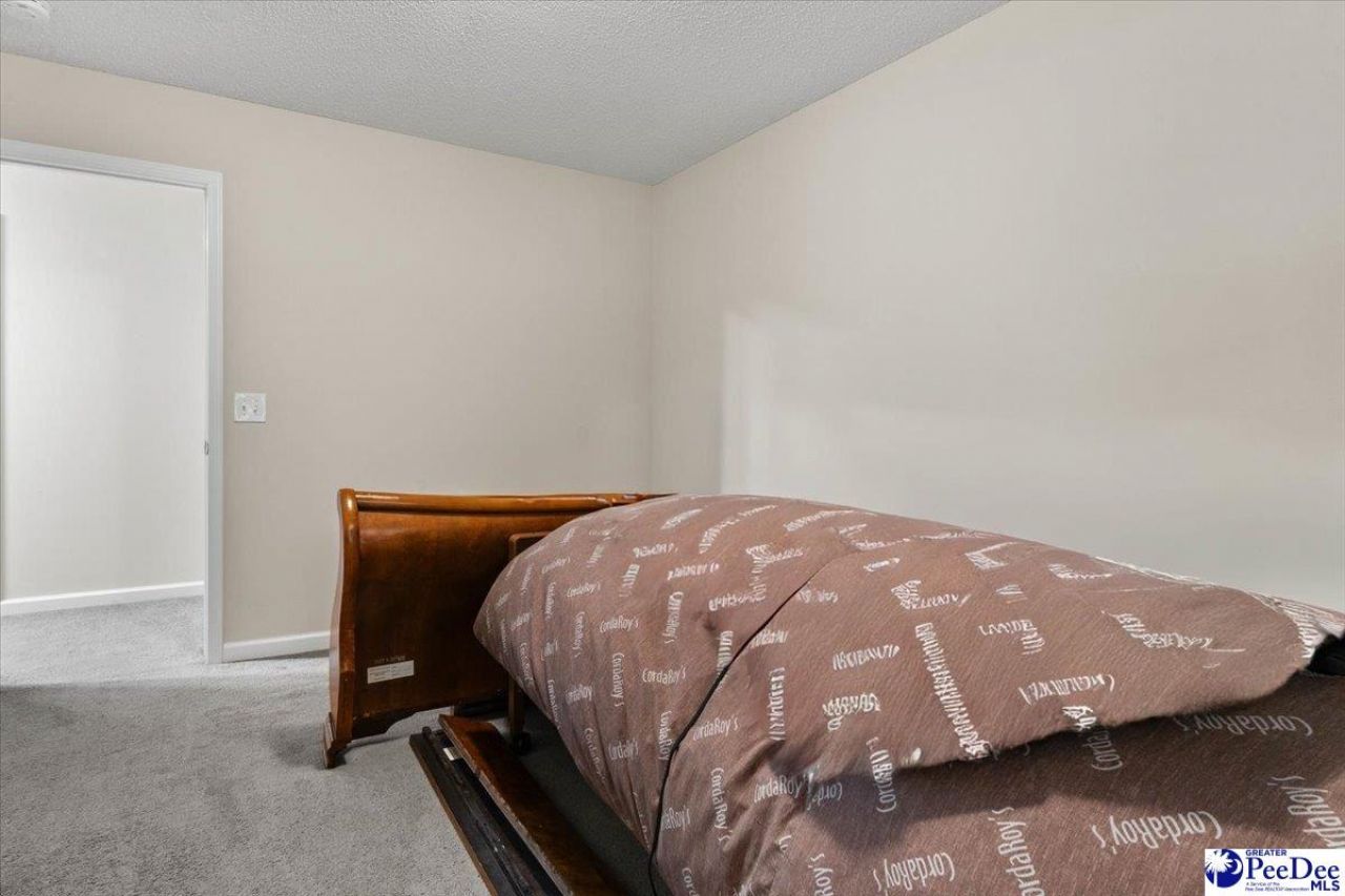 387 Drayton St Photo 21