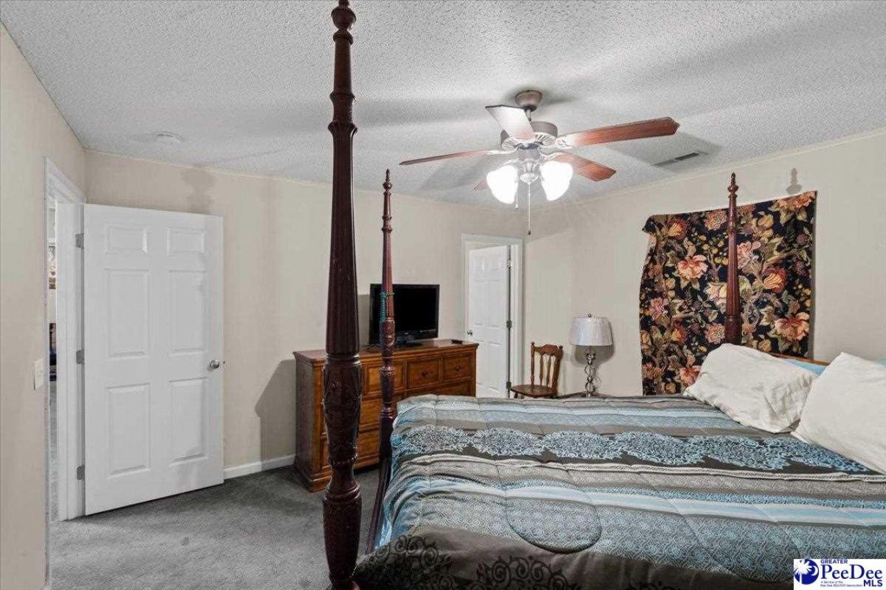 387 Drayton St Photo 23