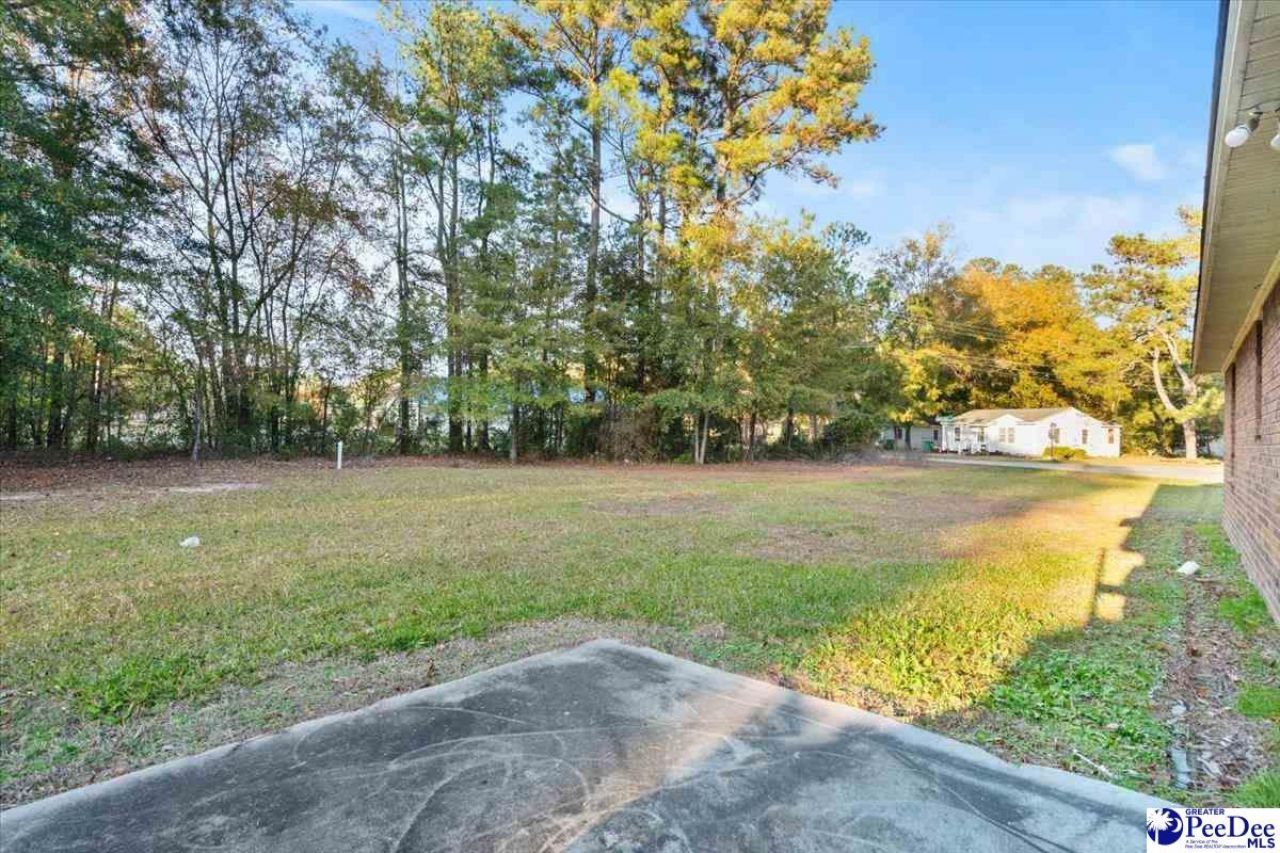 387 Drayton St Photo 25