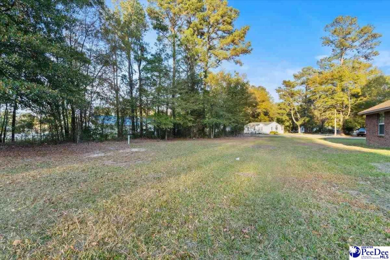 387 Drayton St Photo 26