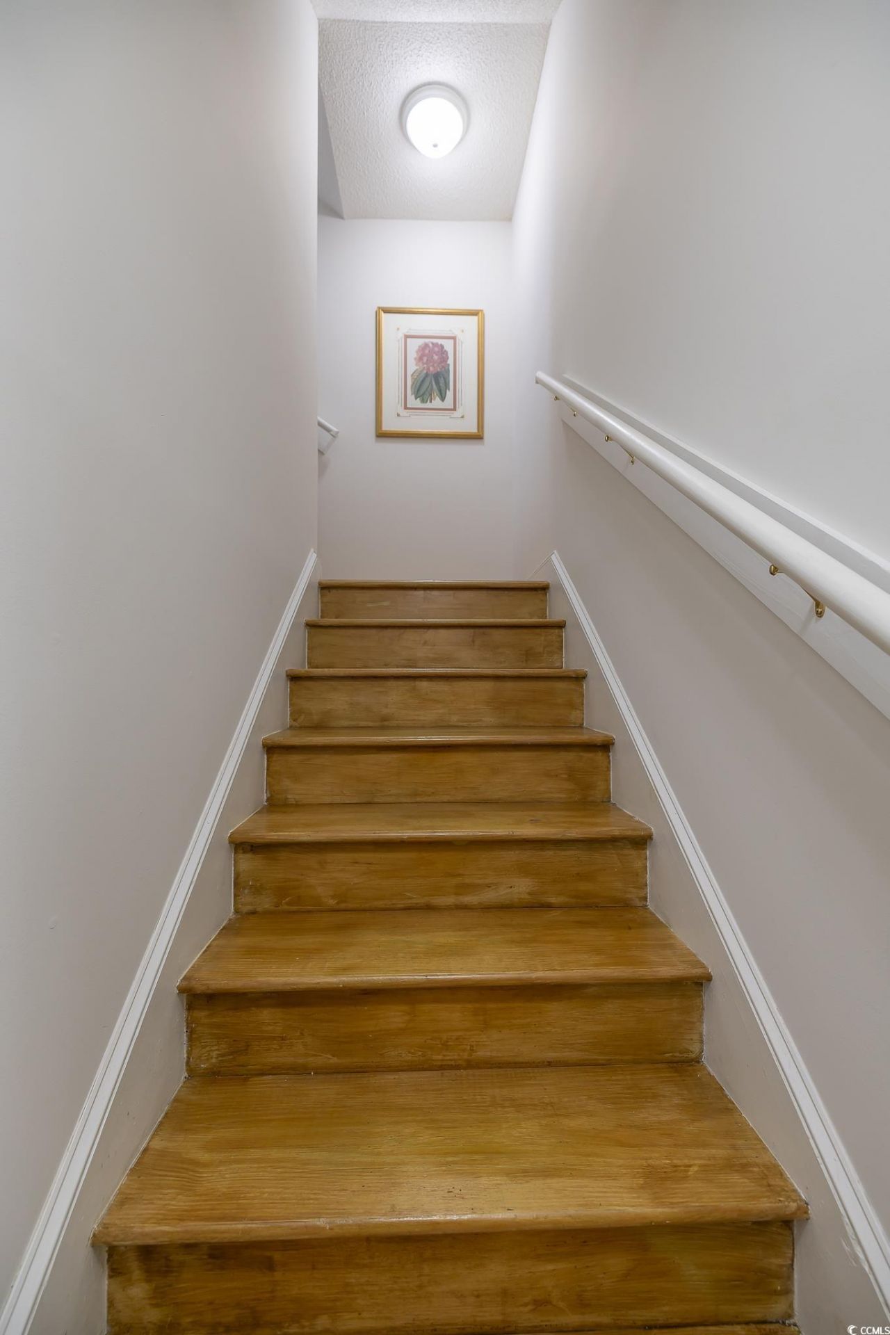 5077 Capulet Circle Photo 10