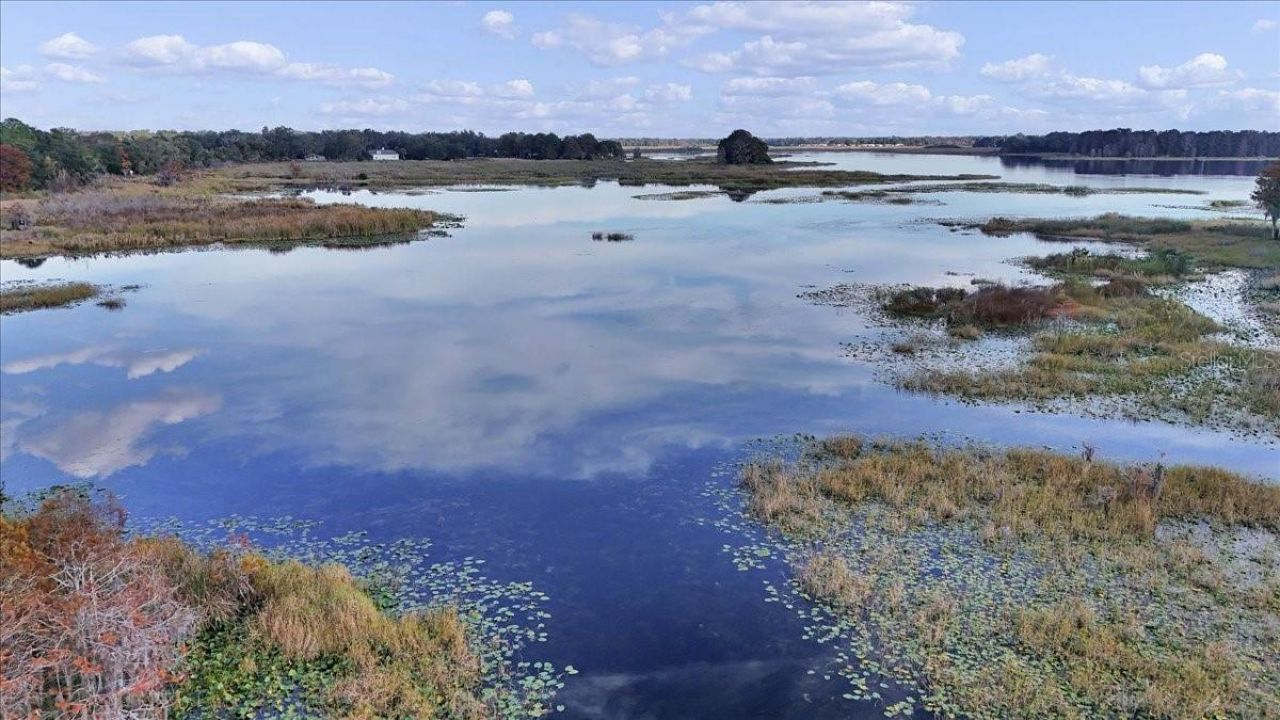 223 S Nesbitt Terrace, Inverness, FL 34450 Photo