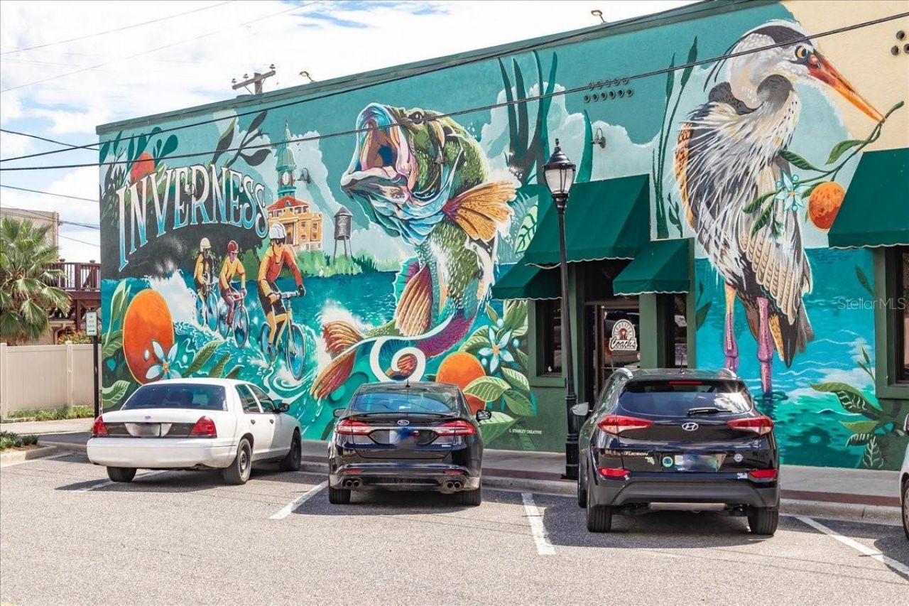 223 S Nesbitt Terrace, Inverness, FL 34450 Photo