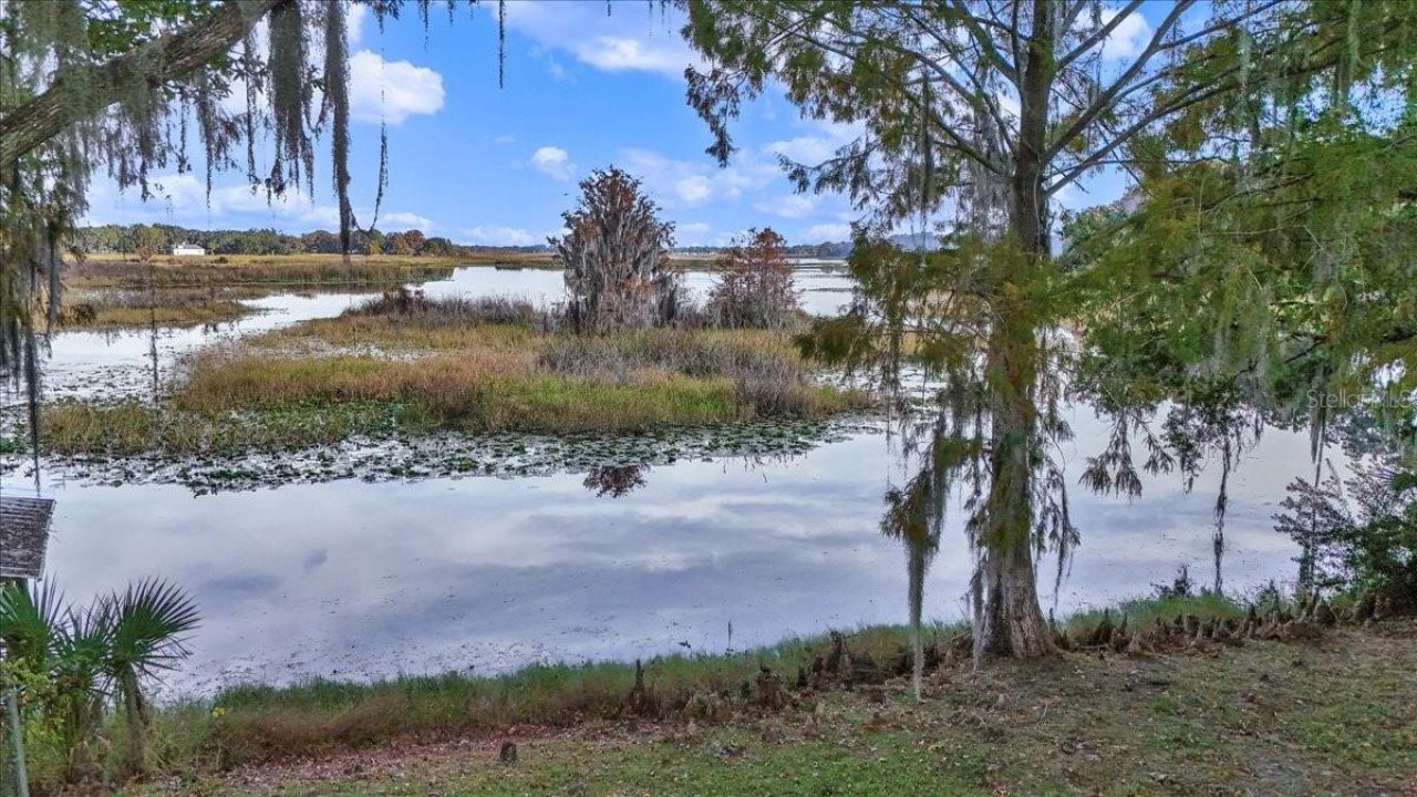 223 S Nesbitt Terrace, Inverness, FL 34450 Photo