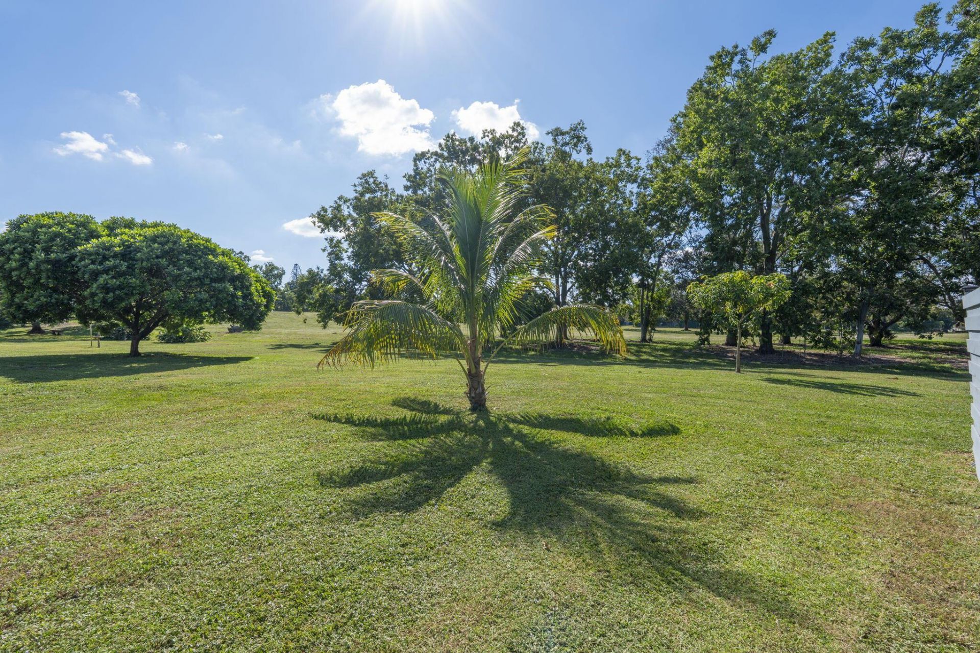 1408 Old Cypress Trail, Wellington, FL 33414 Photo