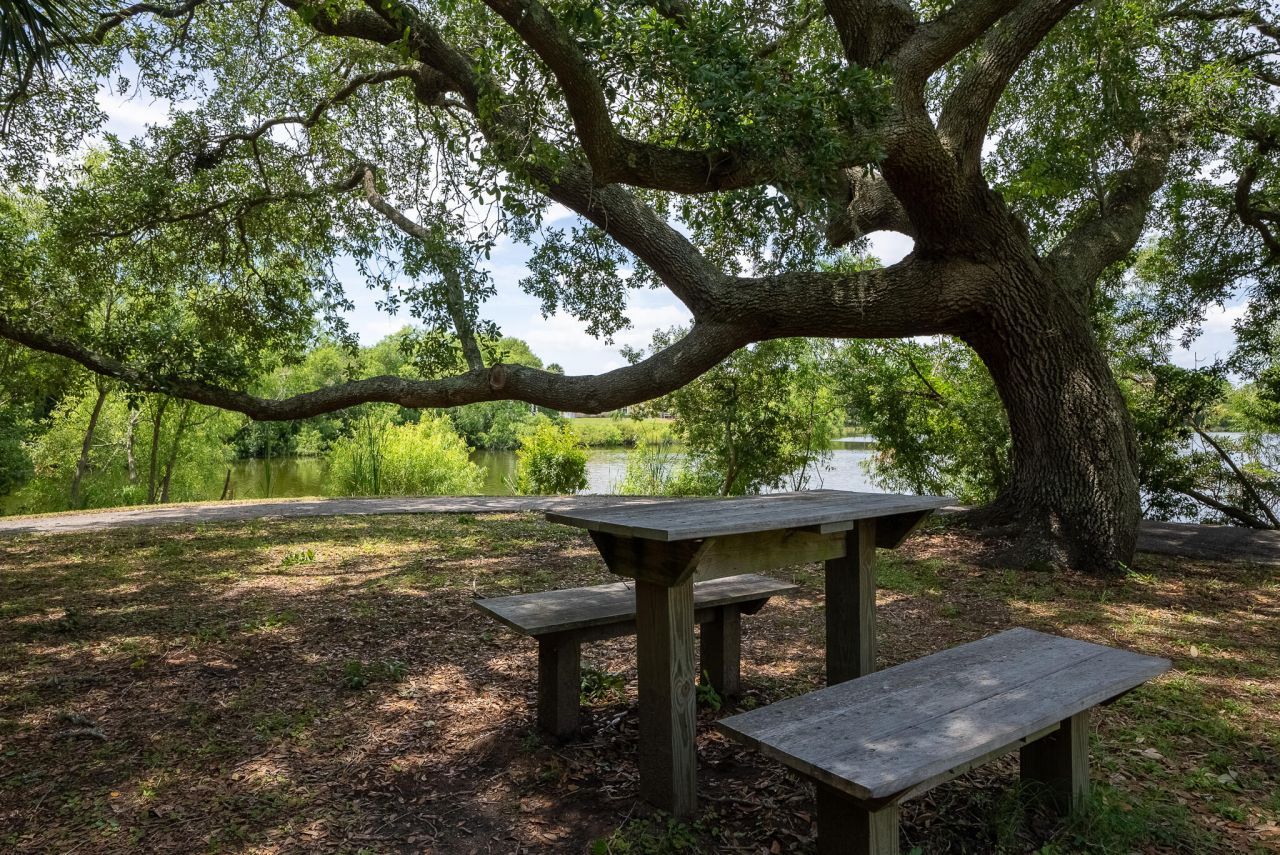 2433 Racquet Club Drive Photo 109