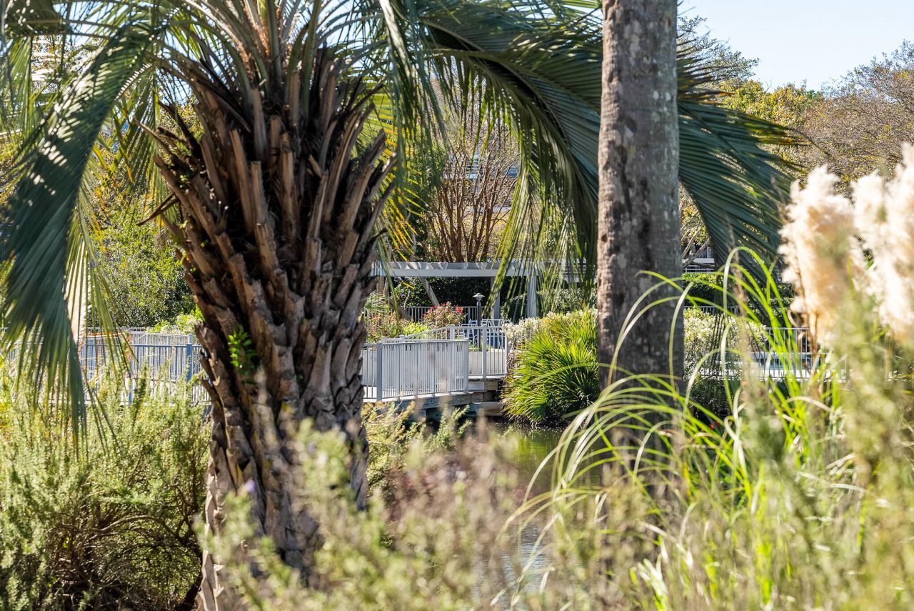 2433 Racquet Club Drive Photo 61