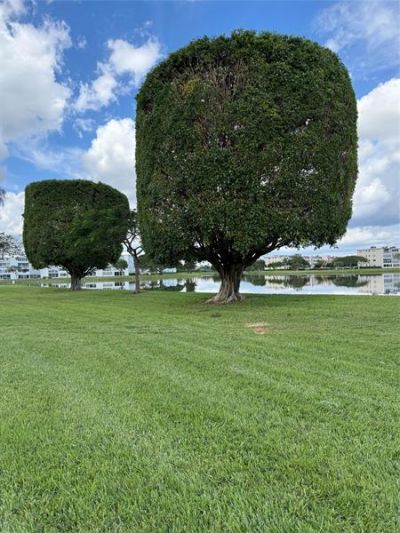 2028 Exeter B, Unit 2028, Boca Raton, FL 33434 Photo