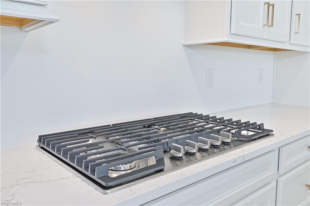 7394 Blue Salvia Dr, North Fort Myers, FL 33917 Photo