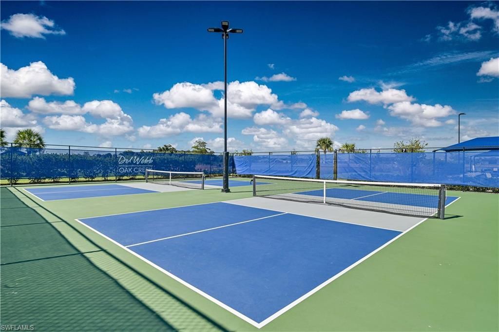 7394 Blue Salvia Dr, North Fort Myers, FL 33917 Photo