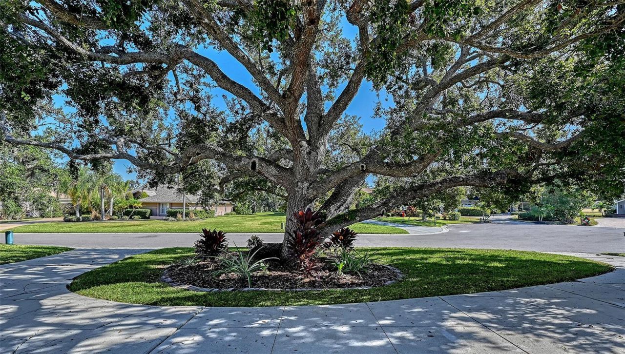 2909 Old Orchard Lane, Parrish, FL 34219 Photo