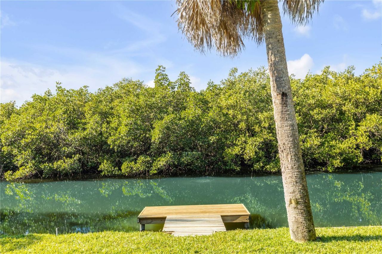 4602 Saxon Drive, New Smyrna Beach, FL 32169 Photo