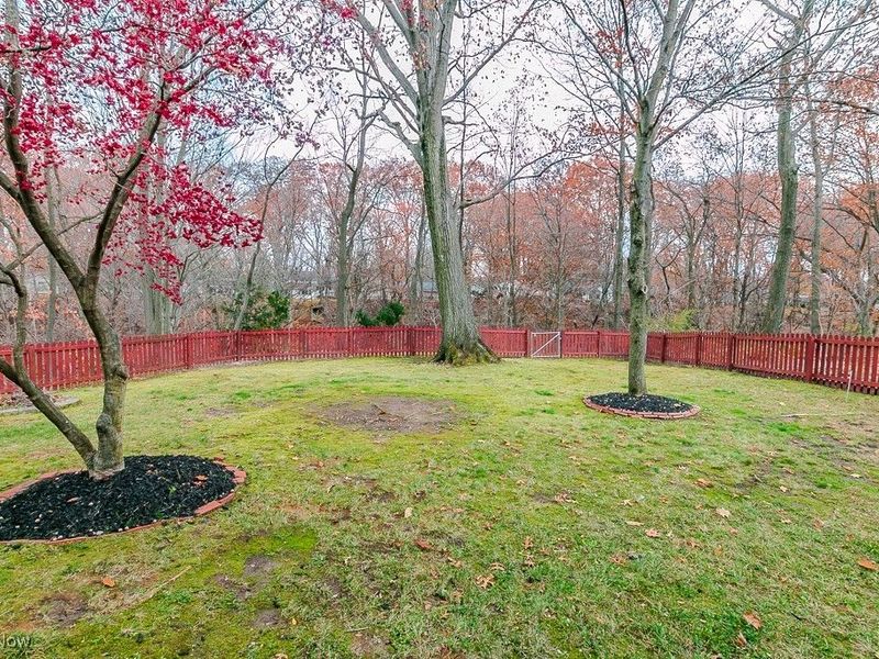 363 Balmoral Drive, Richmond Heights, OH 44143 Photo 2