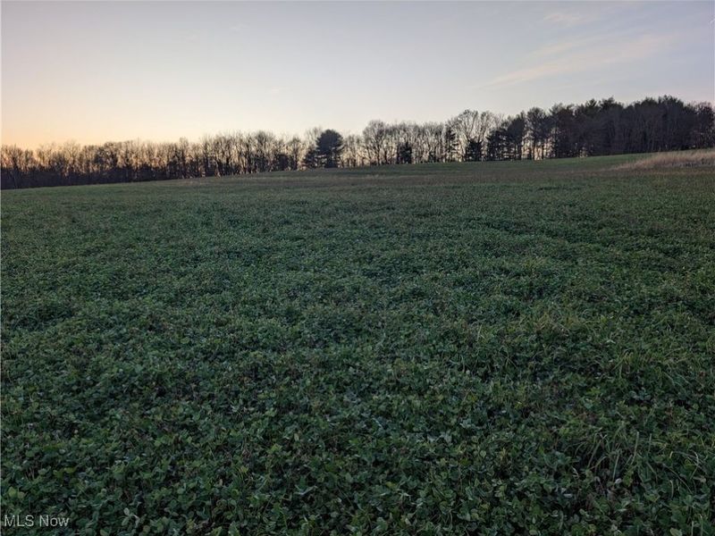 Tr 80, Warsaw, OH 43844 Photo 5