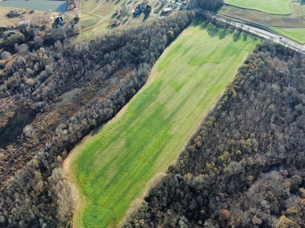 0 Talley Store Road, Henderson, TN 38340