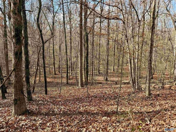3 County Road 137, Unit 504549, Cedar Bluff, AL 35959