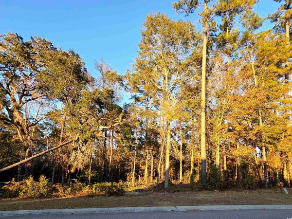 616 McCown Dr., Conway, SC 29526