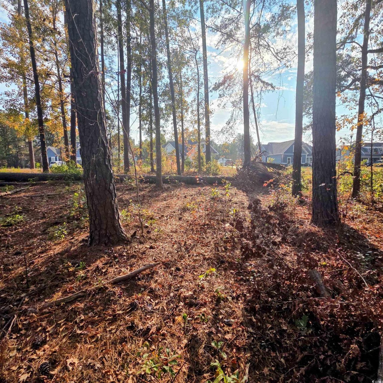 616 Mccown Dr. Photo 4