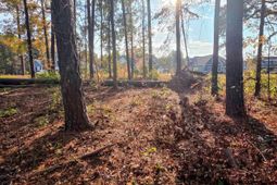 616 Mccown Dr. photo 4