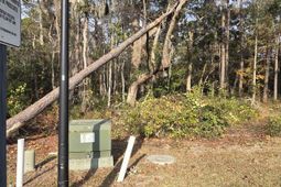 616 Mccown Dr. photo 4