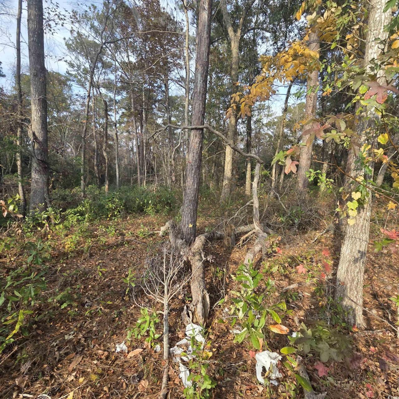 616 Mccown Dr. Photo 6