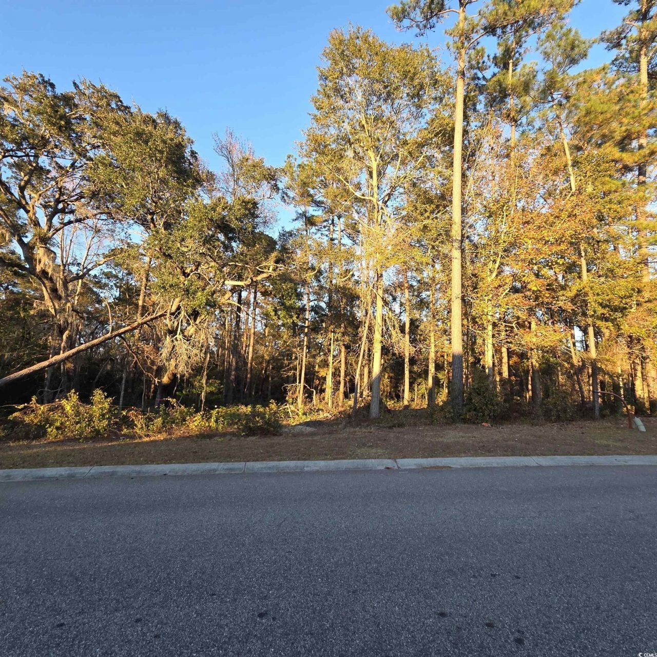 616 Mccown Dr. Photo 7