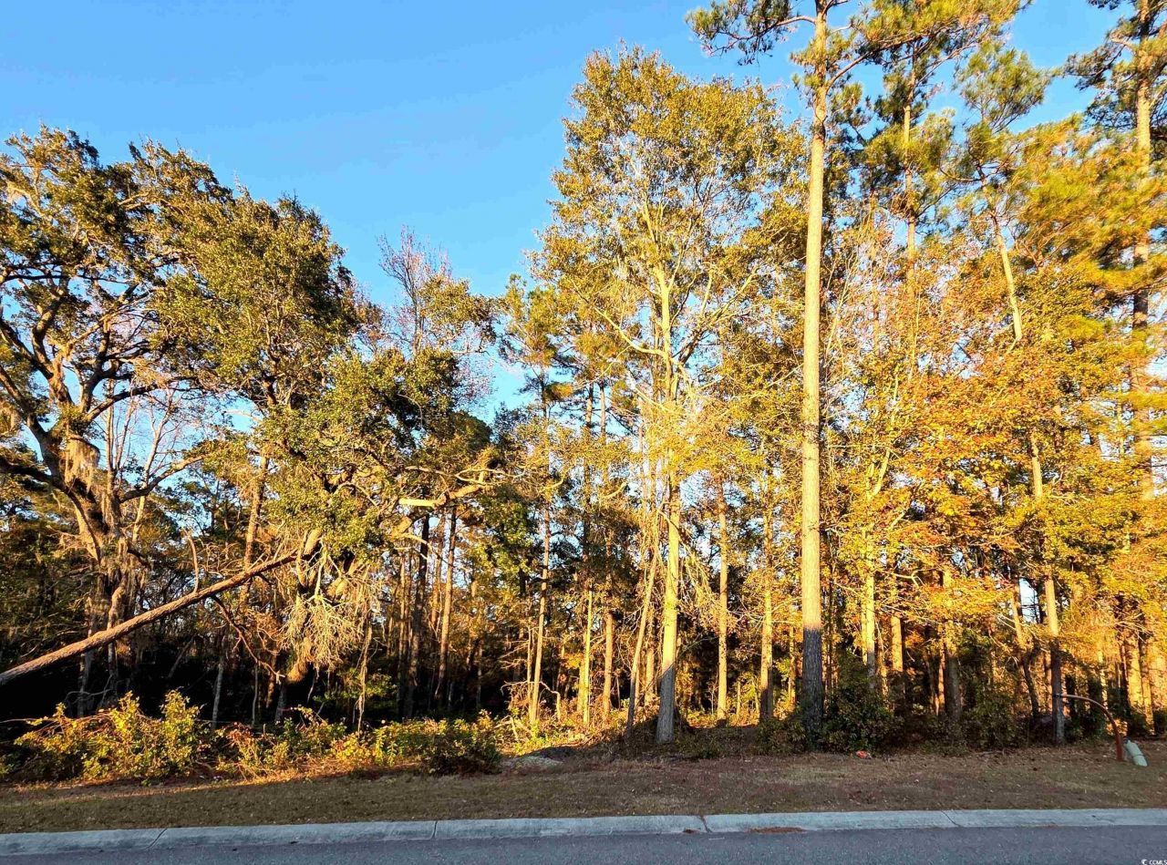 616 Mccown Dr. Photo 8