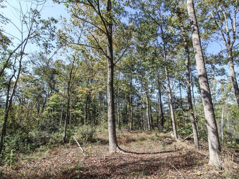 Lot 1 Brooks Road, Marietta, OH 45750 Photo 10