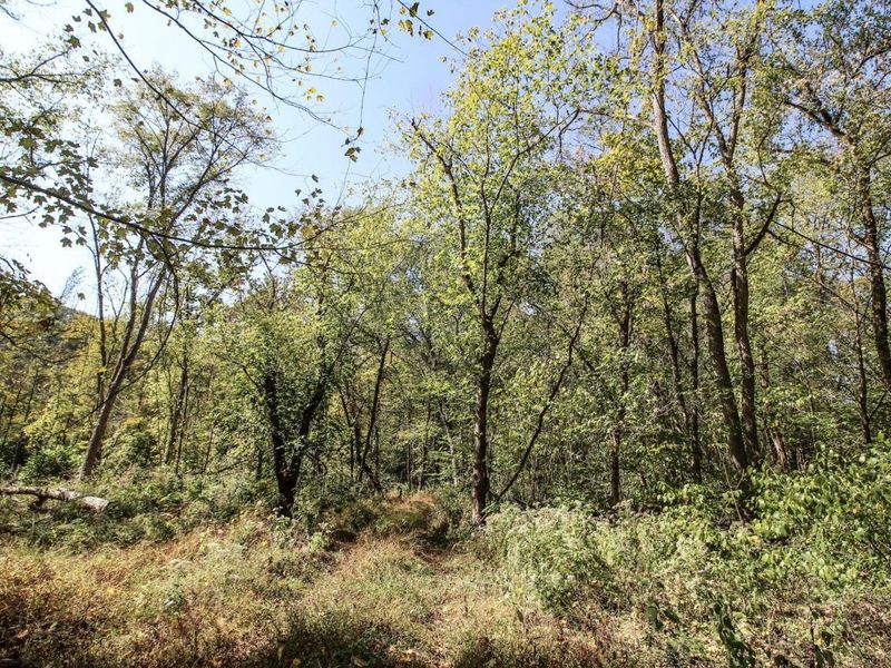 Lot 1 Brooks Road, Marietta, OH 45750 Photo 12