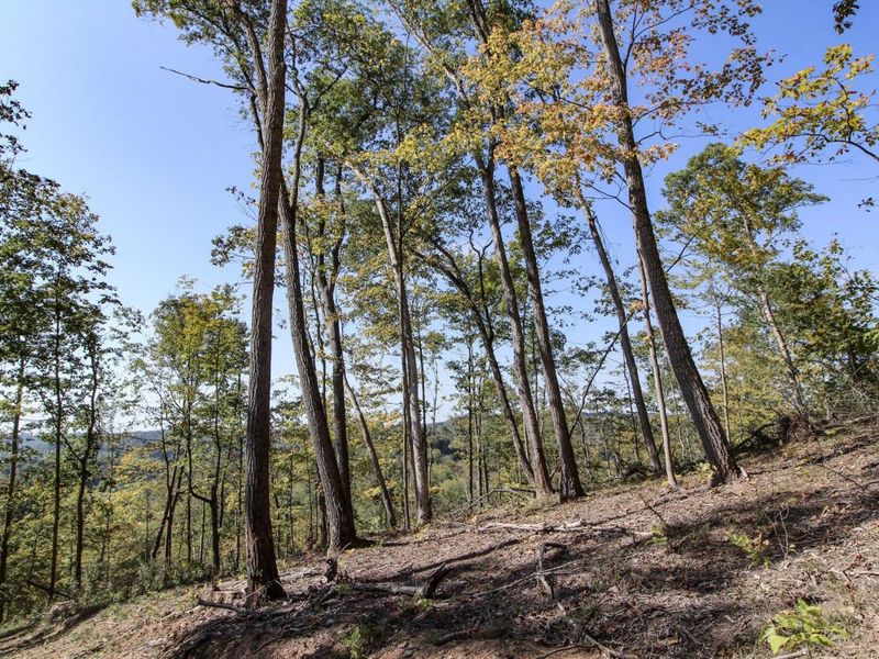 Lot 1 Brooks Road, Marietta, OH 45750 Photo 14