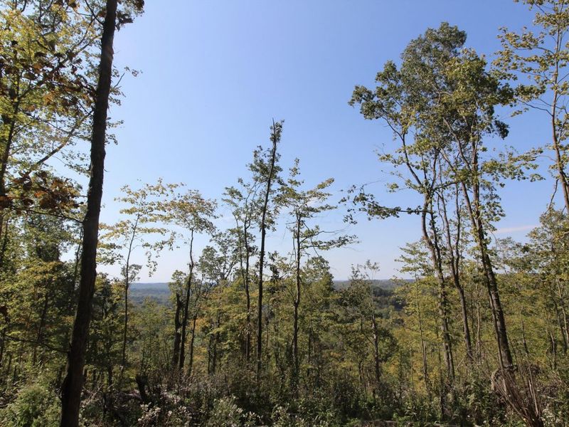 Lot 1 Brooks Road, Marietta, OH 45750 Photo 16