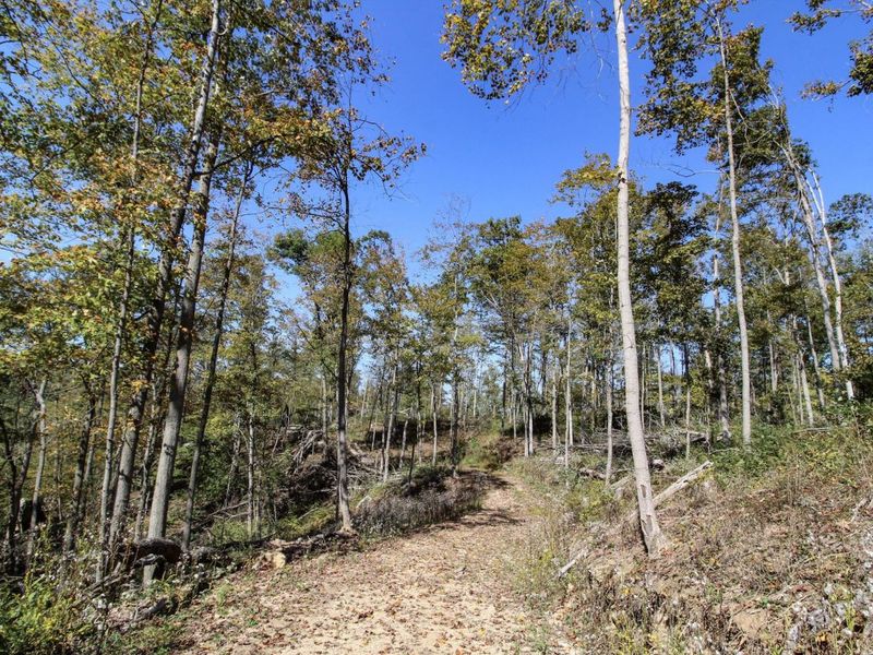 Lot 1 Brooks Road, Marietta, OH 45750 Photo 8