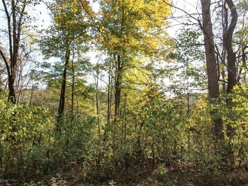 Lot 3 Brooks Road, Marietta, OH 45750 Photo 8