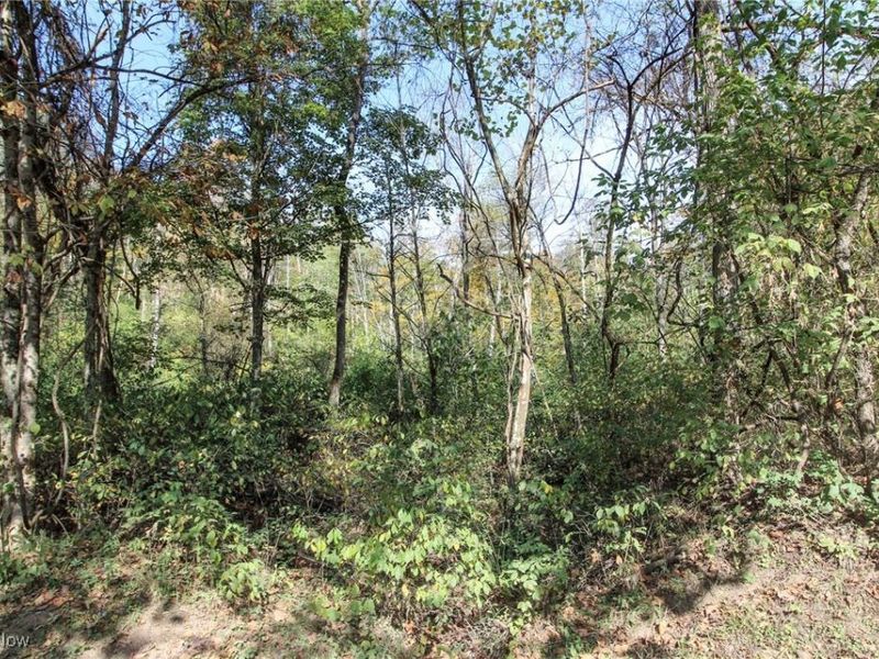 Lot 3 Brooks Road, Marietta, OH 45750 Photo 9