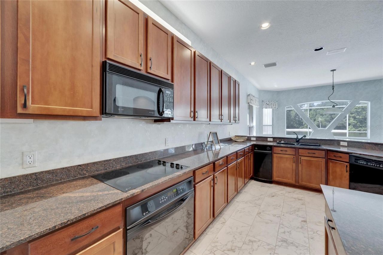 17904 Cachet Isle Drive, Tampa, FL 33647 Photo