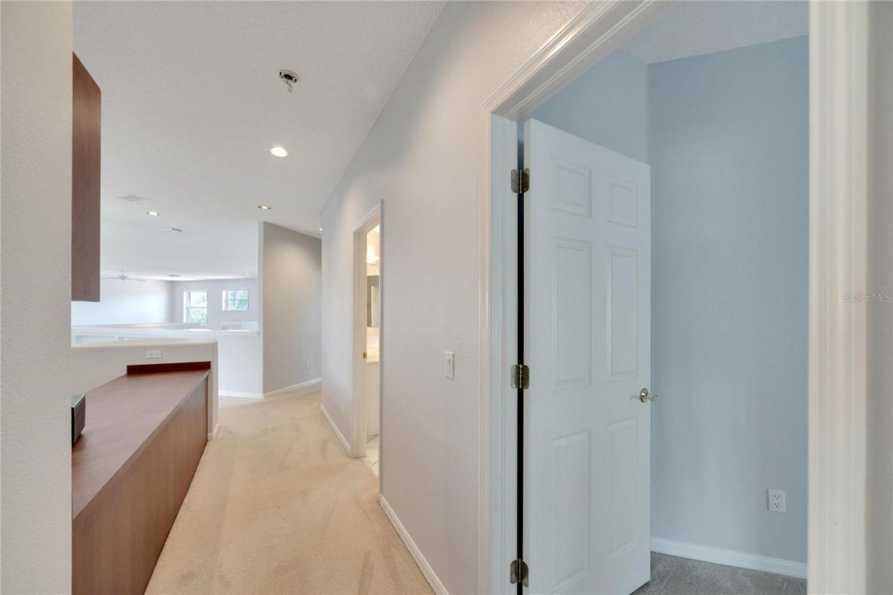 17904 Cachet Isle Drive, Tampa, FL 33647 Photo