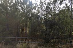 00 E Elm Street photo 4