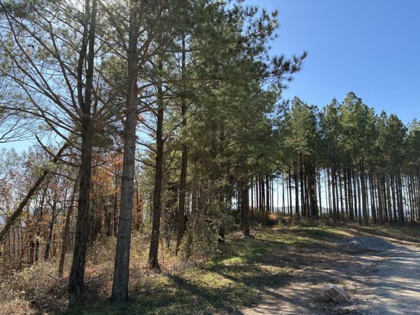 4690 Split Rail Way, Guild, TN 37340