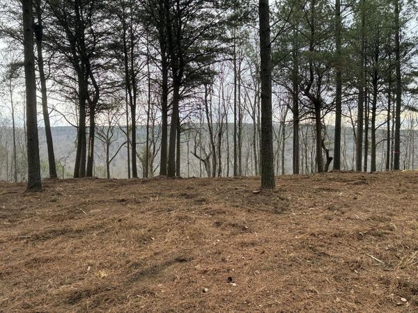 4690 Split Rail Way, Guild, TN 37340