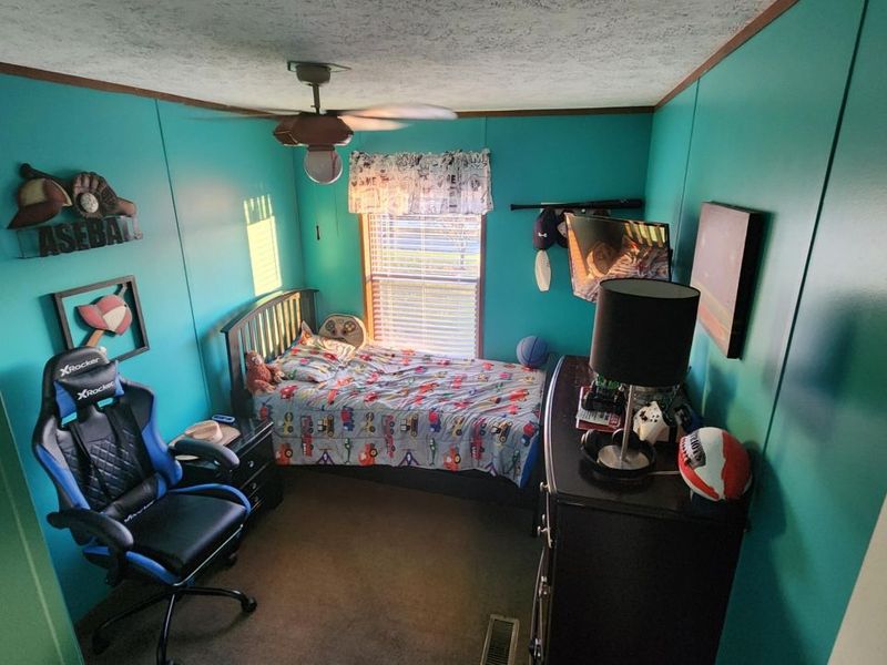 375 Tackett Lane, Sparta, KY 41086 Photo 19