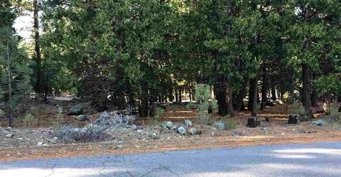 16 Mohave Trail, Graeagle, CA 96103 Photo