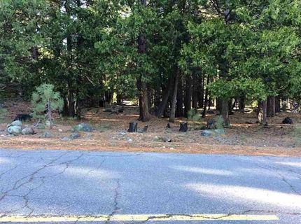 16 Mohave Trail, Graeagle, CA 96103 Photo