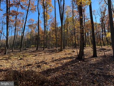 0 DIGGING BEAR LN, HILLSBORO, VA 20132