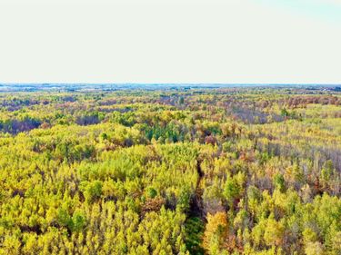 NA NA, Barnum, MN 55707