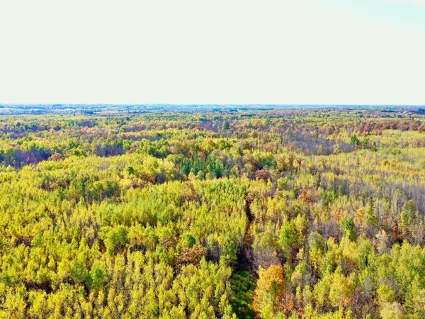 NA NA, Barnum, MN 55707