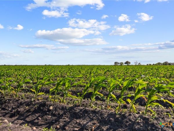 5629 Us-59, Edna, TX 77957