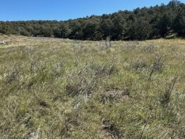 0 Edgewood , Edgewood, NM 87015