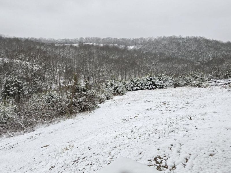 2455 Baker Williams Road, Corinth, KY 41010 Photo 50