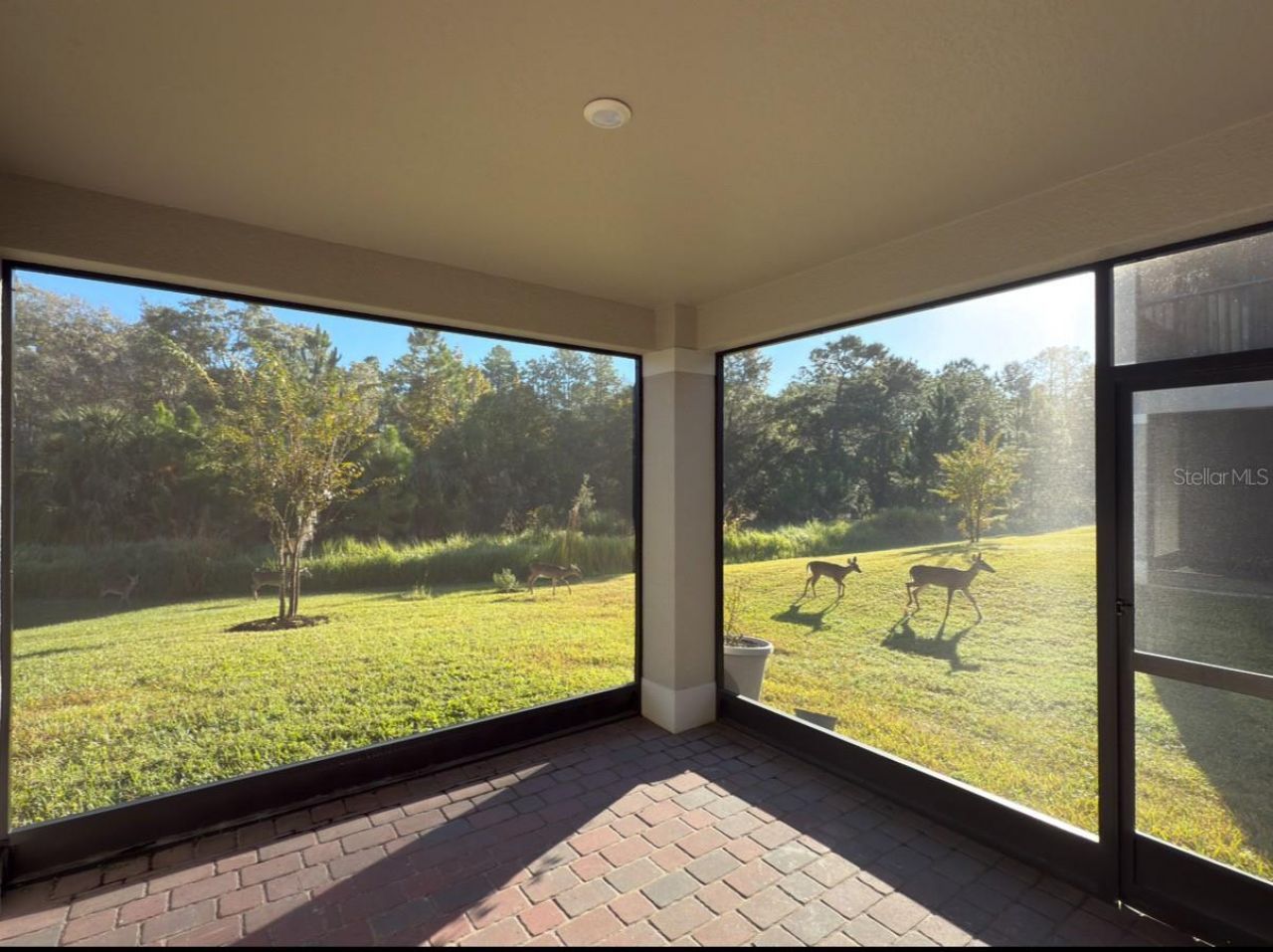 3245 Upland Point, Oviedo, FL 32765 Photo